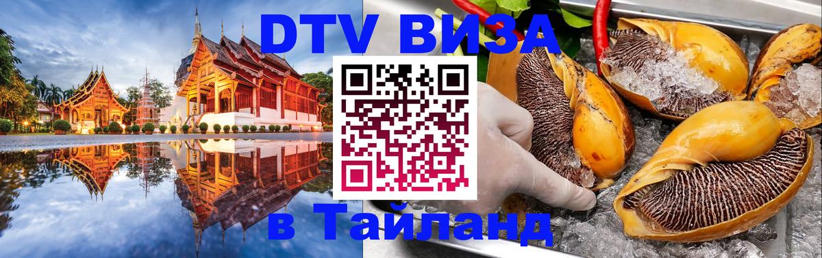 Сколько стоит DTV виза — актуальные цены, оформление даже без документов - 05.10.2025 